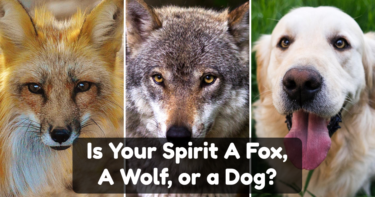 Can a spirit animal be a hybrid?
