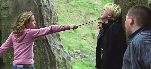 Did Draco really love Hermione?